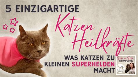 5 Heilkräfte der Katzen Was sie so besonders macht Podcast 139