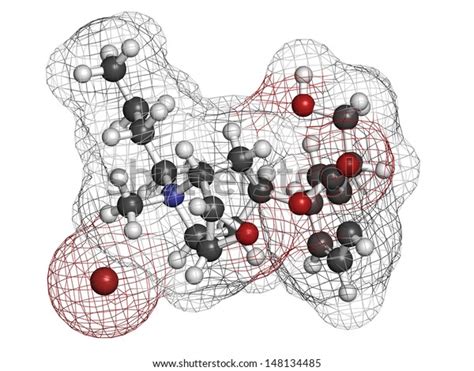 Butylscopolamine Butylhyoscine Bromide Abdominal Menstrual Cramps Stock Illustration 148134485