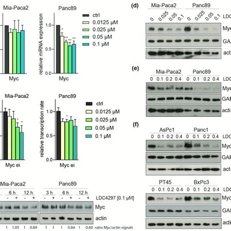 PDAC Cells Display Cell Line Specific Sensitivity Towards CDK7