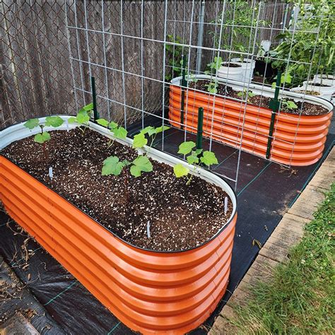 Orange Garden Boxes Growing Plants Vegega