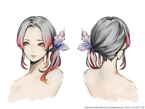 The probable Winners for the Hairstyle Design Contest – FFXIV100.com