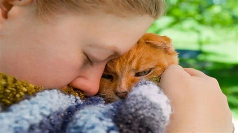 7 choses que les chats font pour leurs propriétaires et que vous n