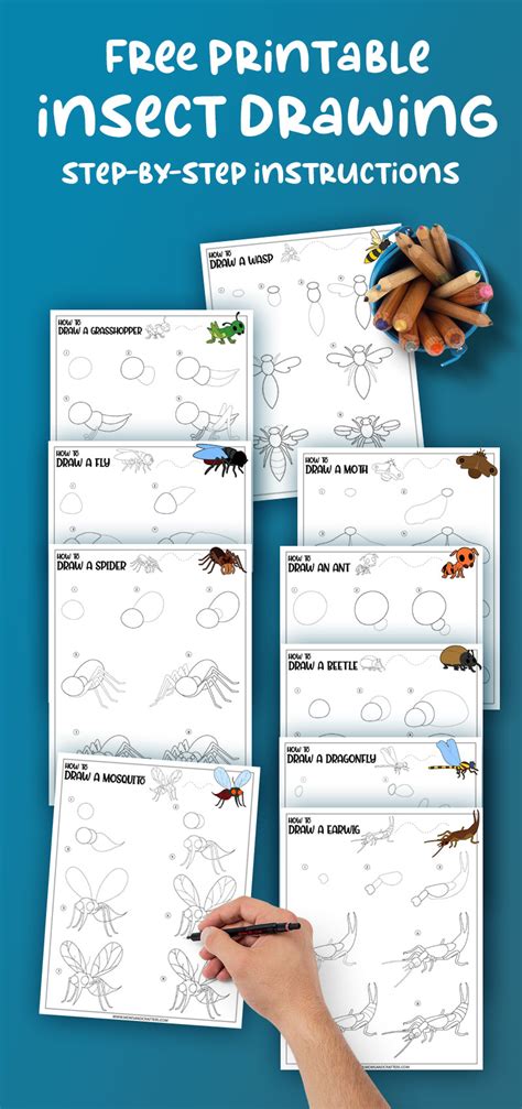 How To Draw Insects Easy Step By Step Printable How To Draw Insects