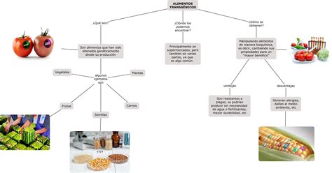 Mapa Conceptual Sobre Alimentos Transg Nicos Y Naturales Brainly Lat