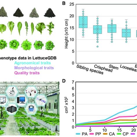 Phenotype Data Collected Manually And With High Throughput Phenomics