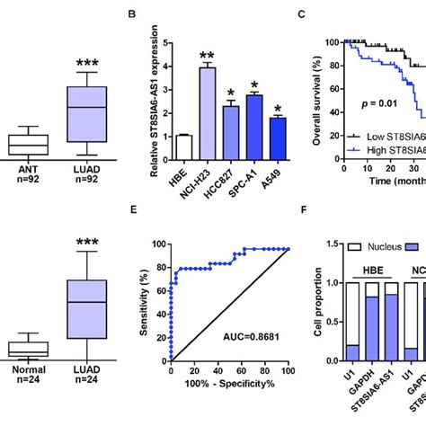 St8sia6 As1 Is Overexpressed In Luad Ab Qrt Pcr Analysis Of