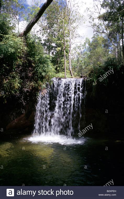 bathurst island, tiwi islands, melville island, northern territory ...