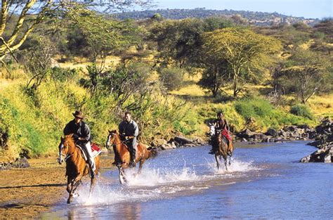 Sabuk Lodge - Overlooking Ewaso Nyiro River (The Experience)