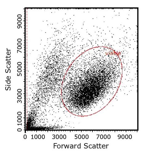 Key Steps In Flow Cytometry Protocols