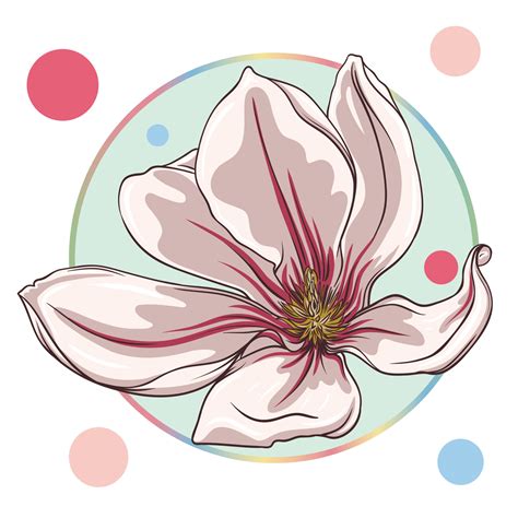 Pink Magnolia Flower Lotus Flower Isolated In A Turquoise Circle On A