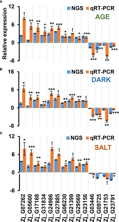 Frontiers Comprehensive Transcriptomic Analysis Of Age Dark And