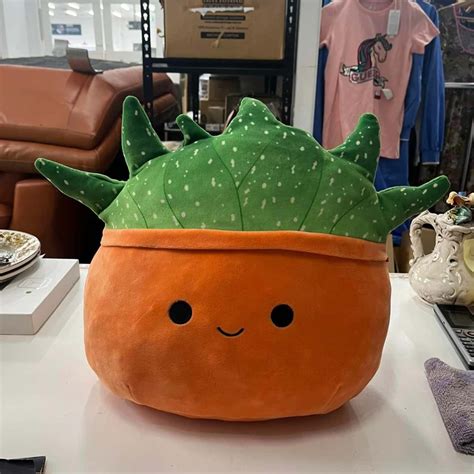 Squishmallow Oz Succulent Plant Plush Toy