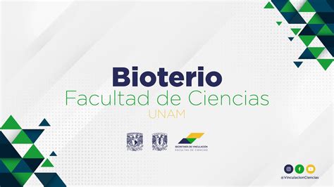 Bioterio Facultad De Ciencias Unam Youtube