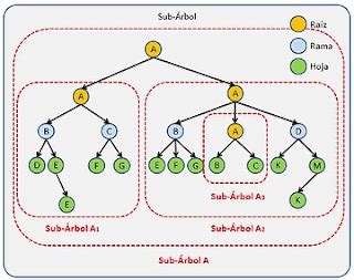 Teor A De Grafos Rboles Estructura De Un Rbol