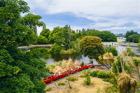 Feathers and fun in Masterton - For the Love of Travel