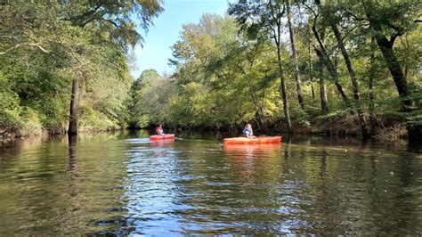 Contentnea Creek › North Carolina Science Trail