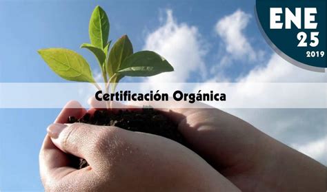 Que Es Una Certificaci N Org Nica Celuz Agro