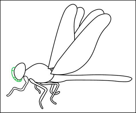 How to Draw a Dragonfly - Tree Valley Academy