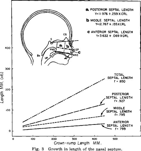 Structure of crista galli | Semantic Scholar