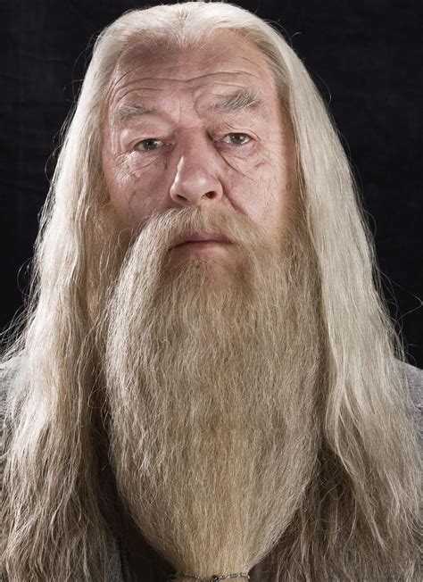 Image Albus Percival Wulfric Brian Dumbledore Harry Potter Wiki