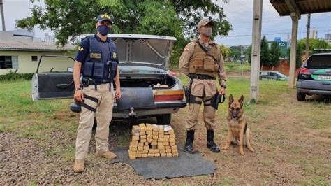 FOTOS 30 kg de maconha são apreendidos em Chapecó