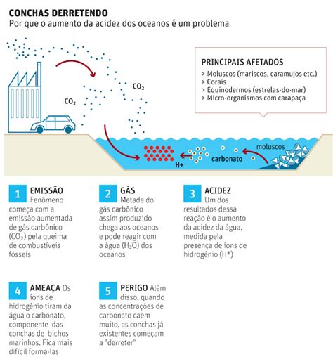 Acidez Da Gua Do Mar Aumenta E Deixa Vida Marinha Amea Ada Mat Ria