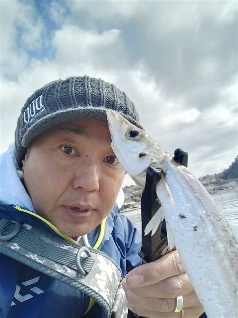 やってぃｰ さんの 2023年02月04日のカマスの釣り・釣果情報千葉県 鴨川漁港 アングラーズ 釣果500万件の魚釣り情報サイト