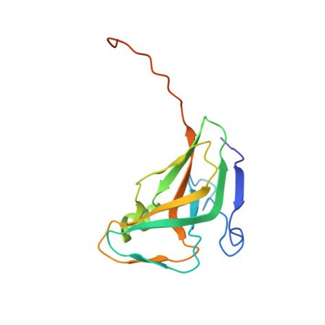 Rcsb Pdb 1syl Crystal Structure Of Inactive Mutant Dutpase Complexed With Substrate Dutp