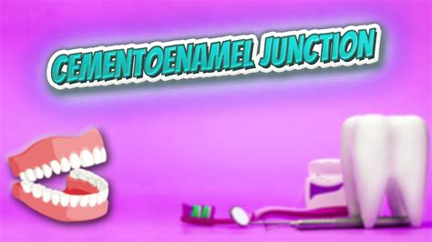 Cementoenamel Junction Everything Dentistry YouTube