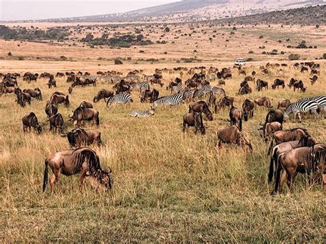 Masai Mara National Park