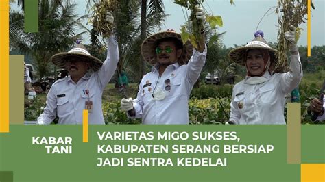 Mentan Minta Serang Jadi Pusat Benih Kedelai Produktivitas Tinggi YouTube