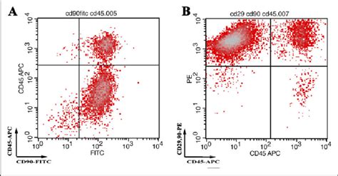 Profiling Of Bone Marrow Stromalstem Cells Bmscs For Surface Download Scientific Diagram