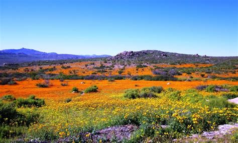 Os 10 parques nacionais mais bonitos da África do Sul Panoramas e