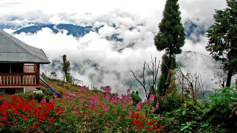 Tourist Places in Kalimpong! 10 Best Place to visit in Kalimpong