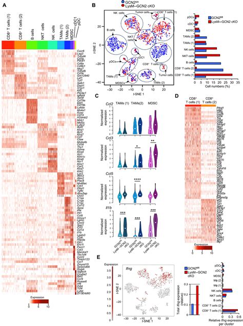 The Immune Transcriptional Landscape In Lysm Gcn2 Cko And Gcn2 Fl Fl Download Scientific