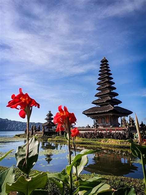 Beautiful View of Lake Beratan Bedugul from Behind the Red Flower ...