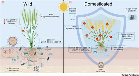 Breeding Toward Improved Ecological Plantmicrobiome Interactions