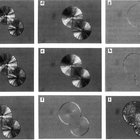 Cross Polarized Optical Micrographs Of O Spherulites Of IPP In