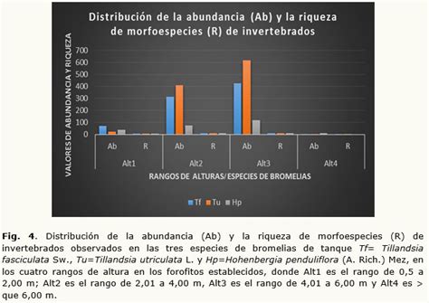 Distribución vertical de bromelias e invertebrados asociados en el