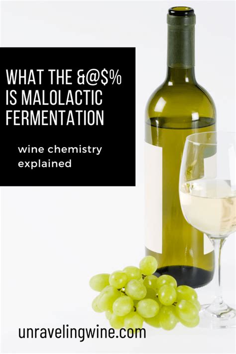 What the &@#% is Malolactic Fermentation? - Unraveling Wine