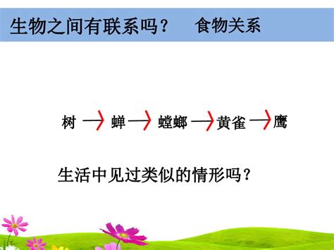 新教科版小学五年级上册科学《食物链和食物网》教学课件word文档在线阅读与下载无忧文档