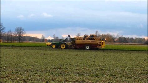 Harvesting Sugar Beets Youtube