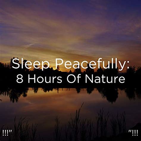 Play Sleep Peacefully 8 Hours Of Nature By Yoga Sleep