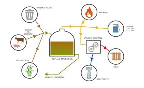 What are some biofuel alternatives? - Quora