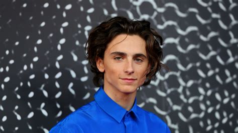 Timothée Chalamet Is Naked In a Bathtub for 'The French Dispatch ...