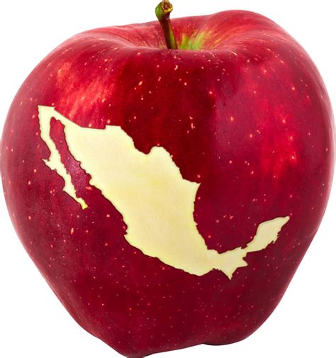 Producci N De Manzana En M Xico Revista Infoagro M Xico