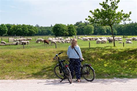 Fietsroute Gelderland Het Middelpunt Van Nederland Km Reisreport