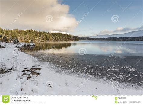 Winter Scene at Loch Morlich in the Cairngorms National Park of ...