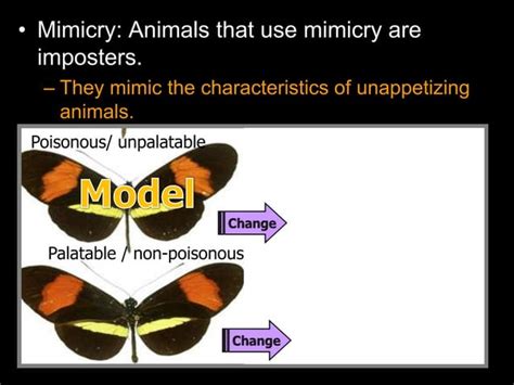 Mimicry Lesson Powerpoint Animals Environment Ppt