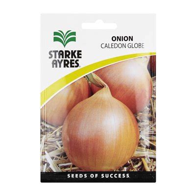 Starke Ayres Onion All Year Round 15g Smart Price Specials PnP Home